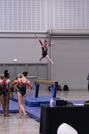 Howard, Dream Meet24jan22.cc