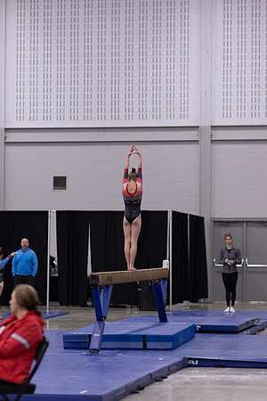 Howard, Dream Meet36jan22.cc