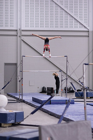 Howard, Dream Meet12jan22.cc