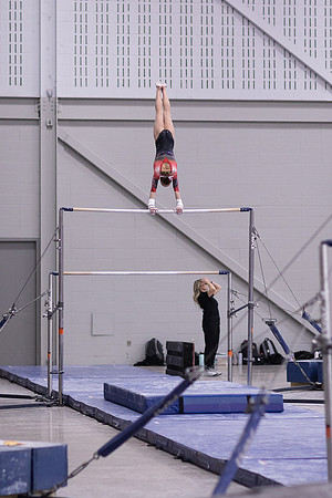 Howard, Dream Meet13jan22.cc